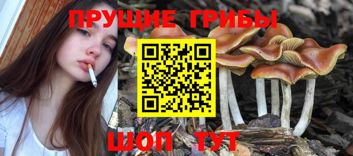 Галлюциногенные грибы Magic Shrooms Феодосия