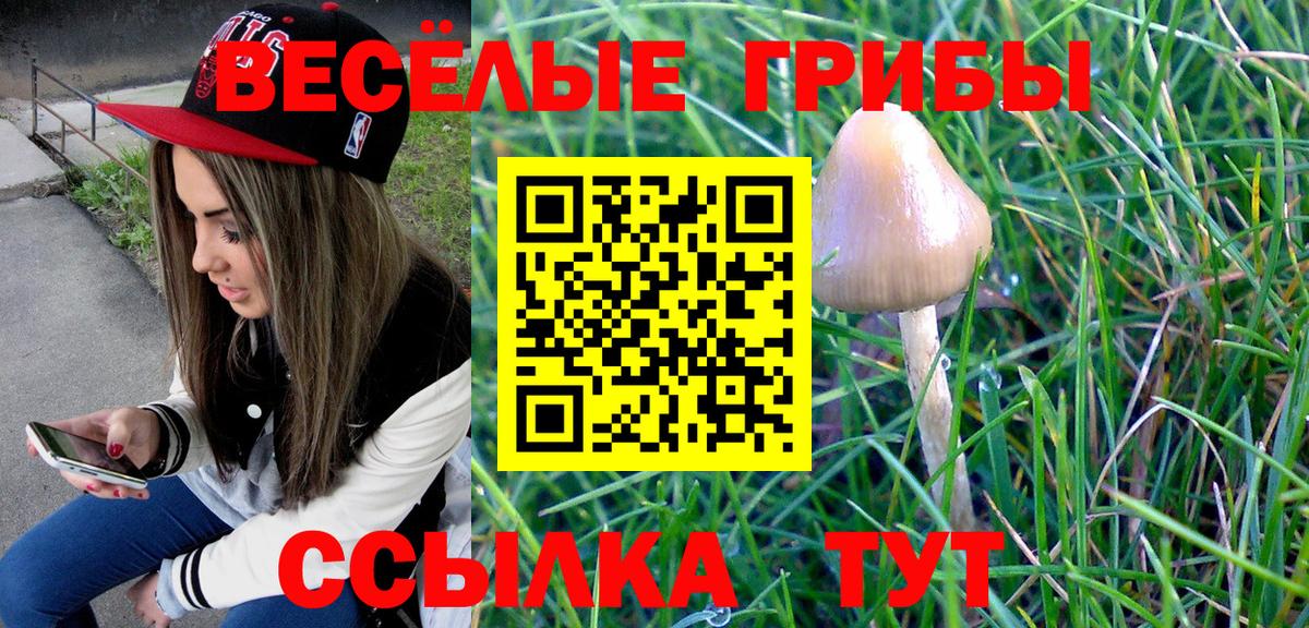 Феодосия  Псилоцибиновые грибы Cubensis  Вход с VPN  Псилоцибиновые грибы прущие грибы 